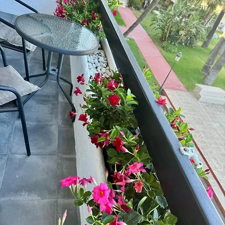 アパート La Carolina Pool View マルベーリャ