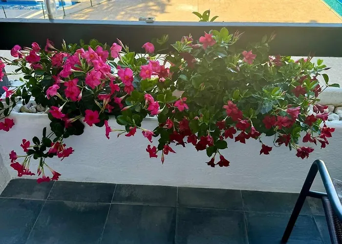 La Carolina Pool View 아파트 *